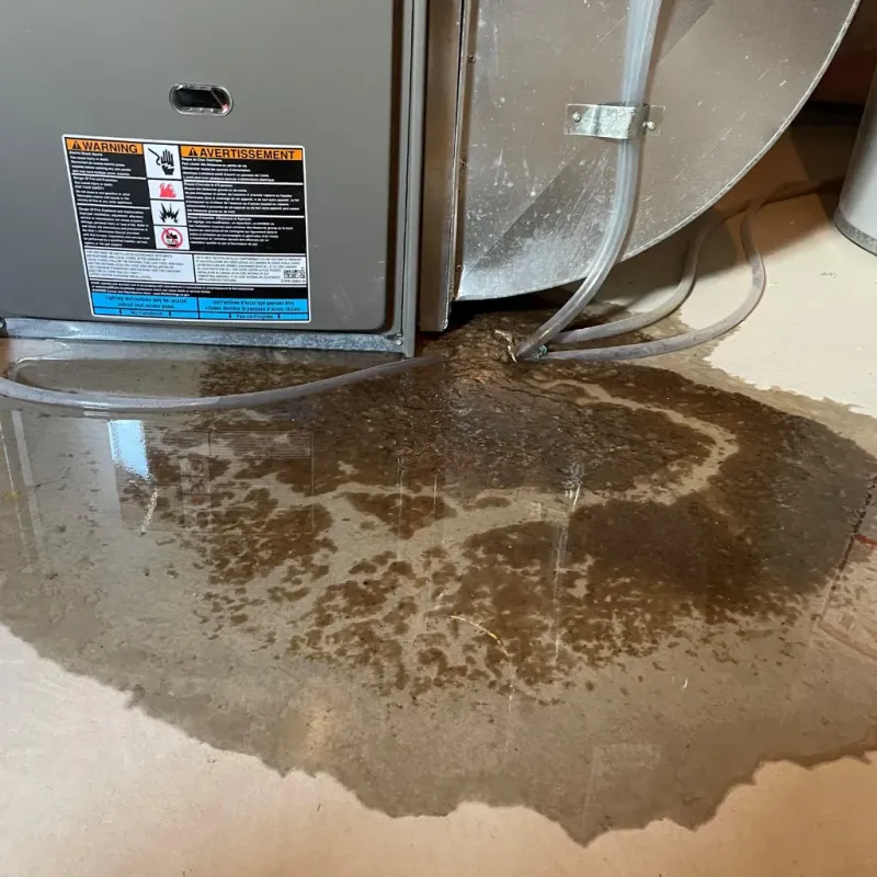 Appliance Leak Cleanup in Napili-Honokowai, HI