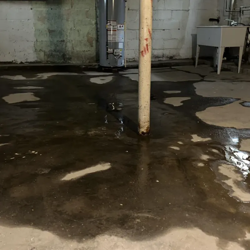 Emergency Water Extraction And Removal in Napili-Honokowai, HI